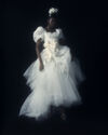 Chichi Dress & Long Tulle Underskirt image number 1
