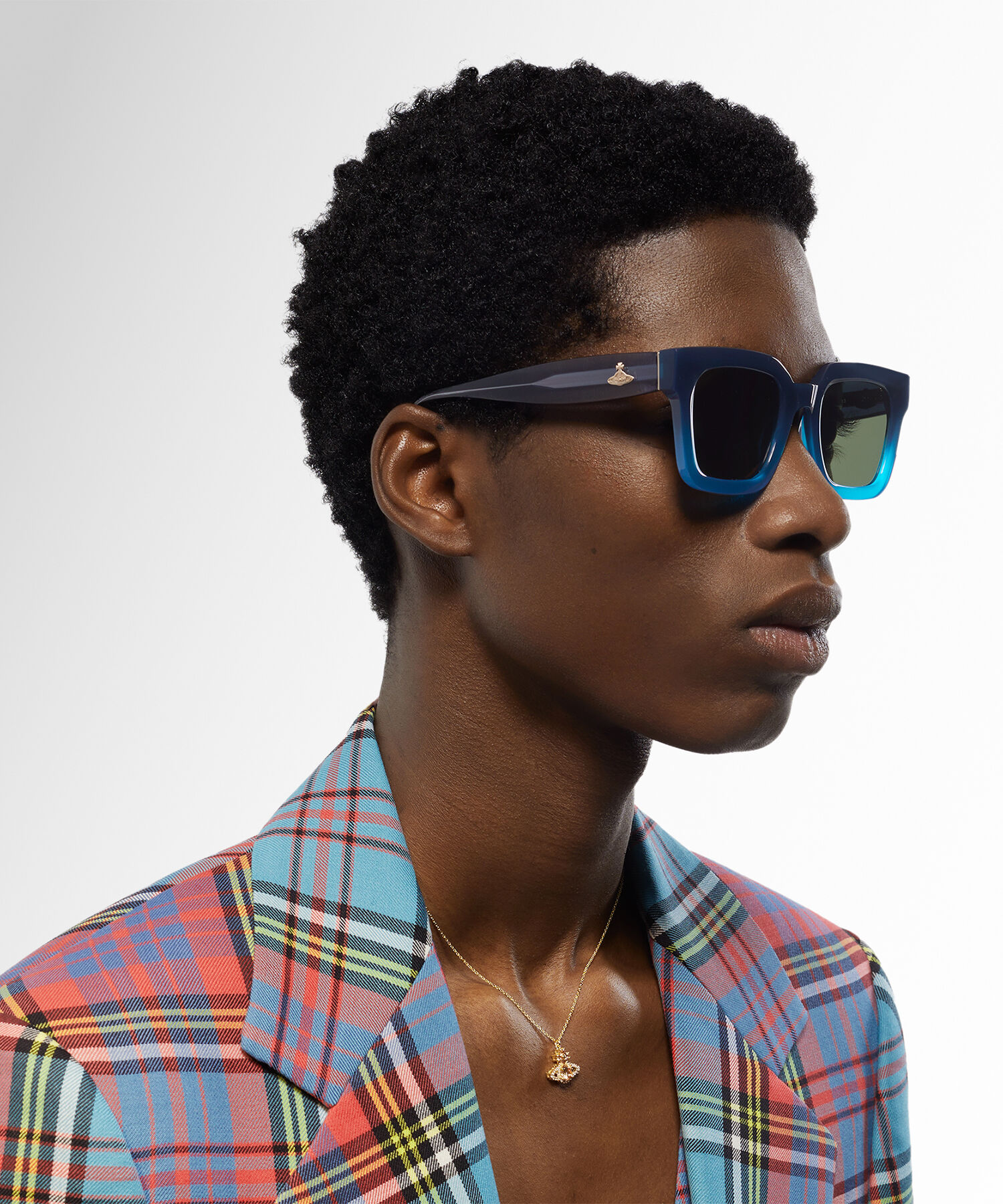 Cary  large image number 2