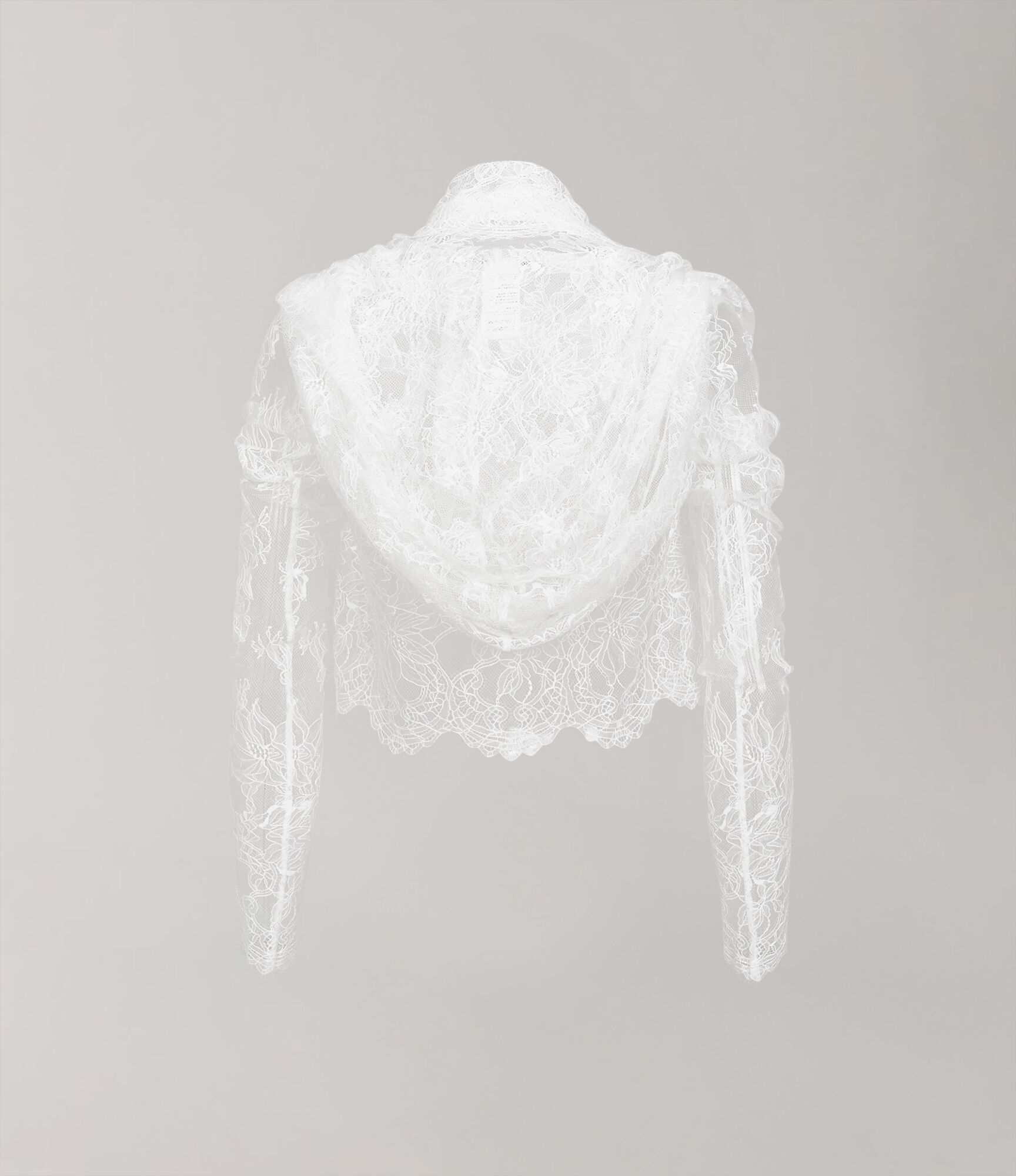 Lace Fishu Blouse  large image number 3