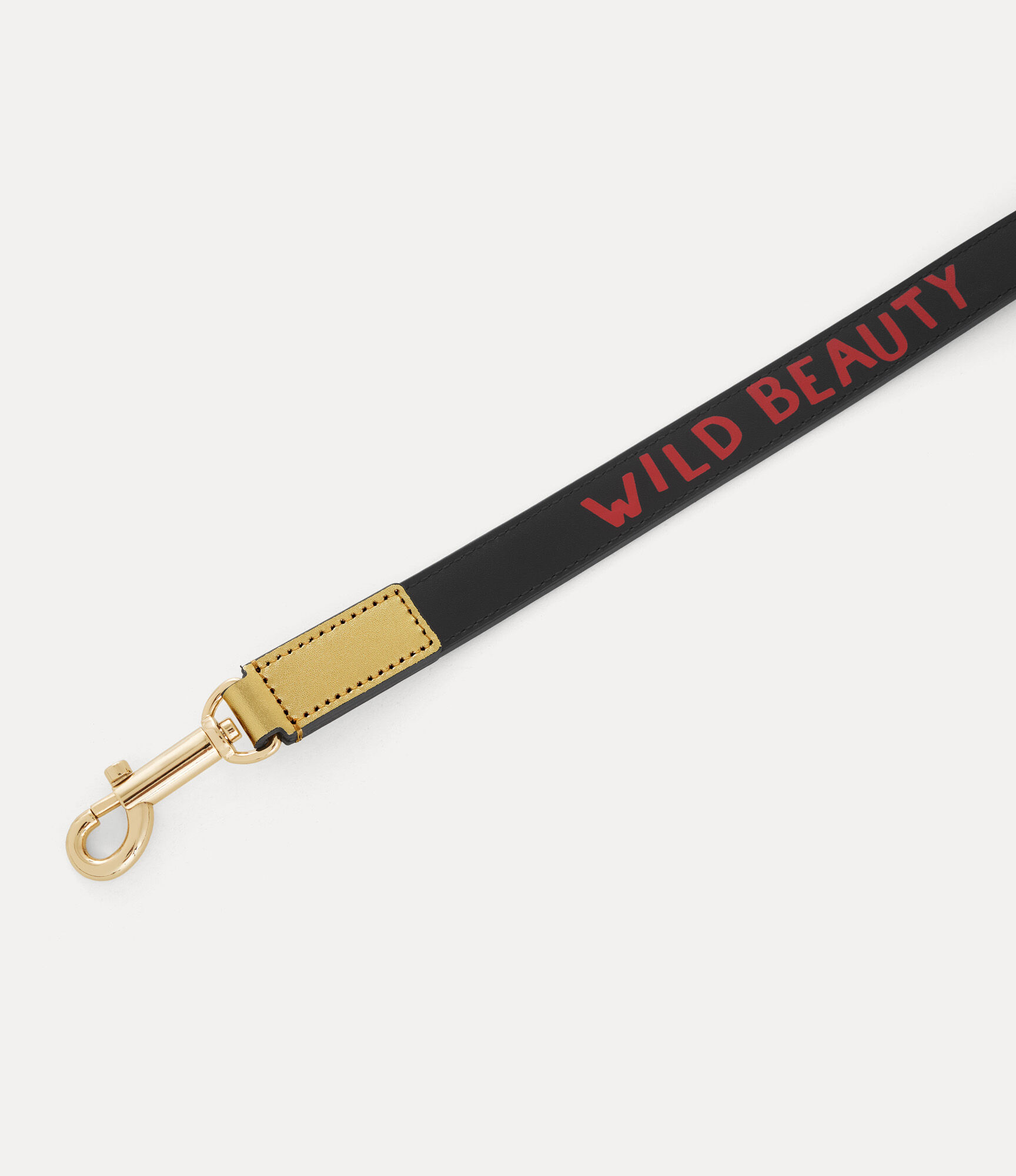 Dog Lead  large image number 2