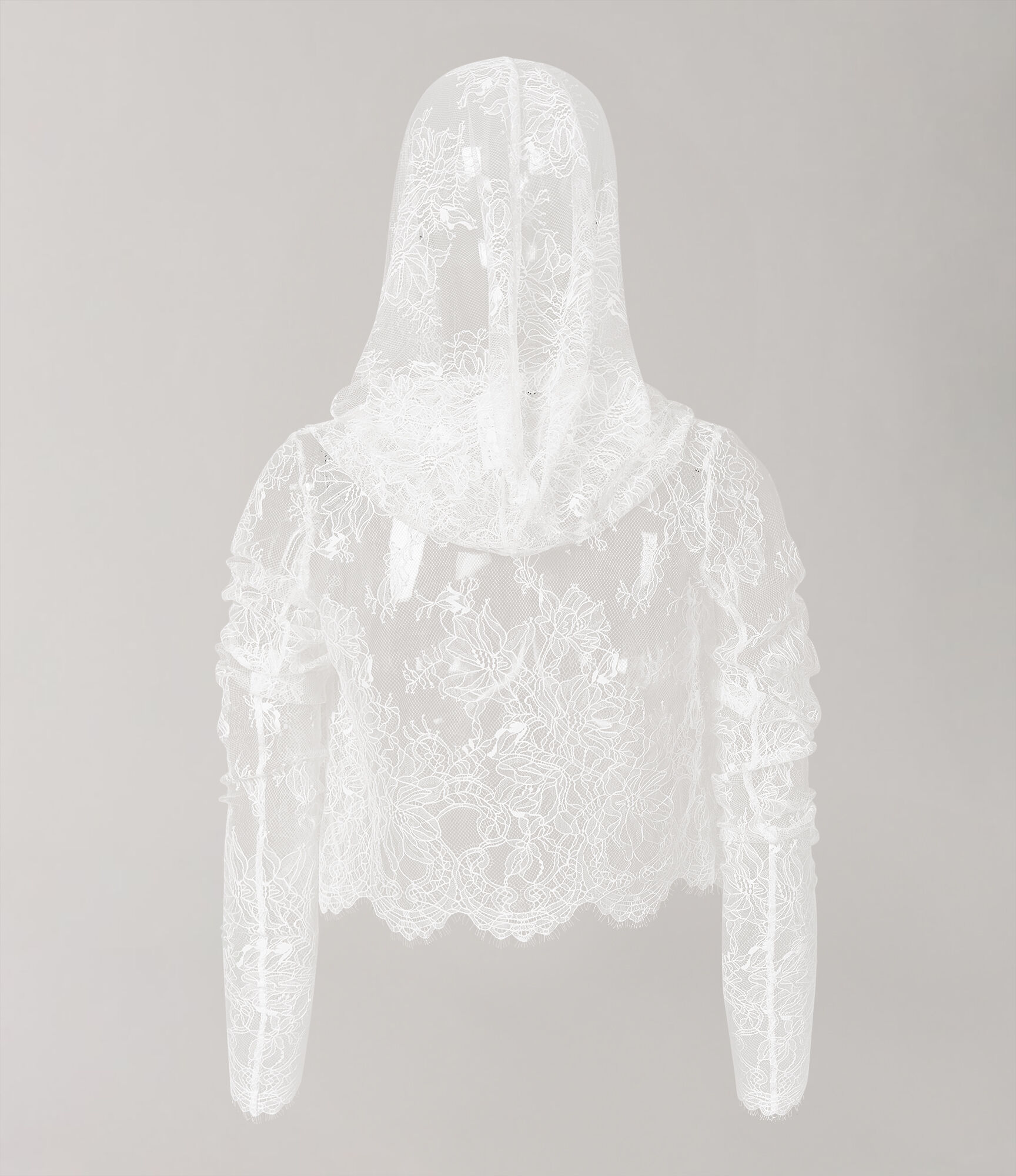 Lace Fishu Blouse  large image number 4